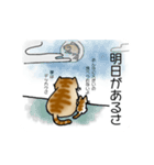 不器用なねこです。（個別スタンプ：17）