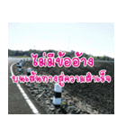 Daily messages for you（個別スタンプ：31）