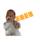 little orange coming again（個別スタンプ：15）