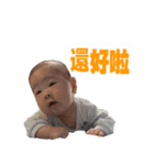little orange coming again（個別スタンプ：37）