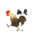 Lovely Rooster（個別スタンプ：16）