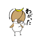 仙台弁まさむね君（個別スタンプ：38）