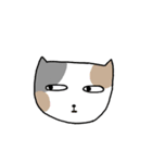 Q Cat Friends（個別スタンプ：1）