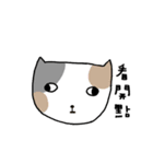 Q Cat Friends（個別スタンプ：4）