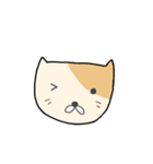 Q Cat Friends（個別スタンプ：5）