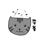Q Cat Friends（個別スタンプ：12）