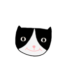 Q Cat Friends（個別スタンプ：13）