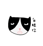 Q Cat Friends（個別スタンプ：16）