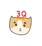 Q Cat Friends（個別スタンプ：39）