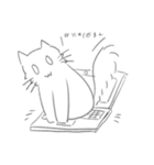 Cat's Daylife（個別スタンプ：34）