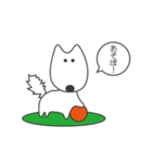 白い犬、天ちゃん（個別スタンプ：1）