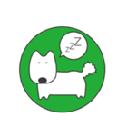 白い犬、天ちゃん（個別スタンプ：2）