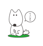 白い犬、天ちゃん（個別スタンプ：4）