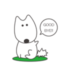 白い犬、天ちゃん（個別スタンプ：8）