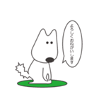 白い犬、天ちゃん（個別スタンプ：9）