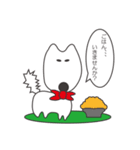 白い犬、天ちゃん（個別スタンプ：11）