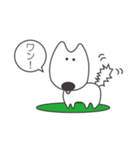 白い犬、天ちゃん（個別スタンプ：14）