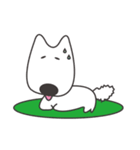 白い犬、天ちゃん（個別スタンプ：15）