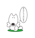 白い犬、天ちゃん（個別スタンプ：17）