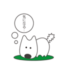 白い犬、天ちゃん（個別スタンプ：20）