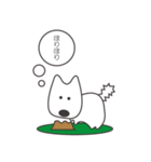 白い犬、天ちゃん（個別スタンプ：21）
