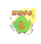 コザクラインコぱんちゃん（個別スタンプ：1）