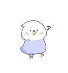 コザクラインコぱんちゃん（個別スタンプ：37）
