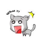 What The Cat(Eng)（個別スタンプ：1）