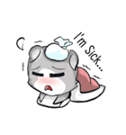 What The Cat(Eng)（個別スタンプ：7）