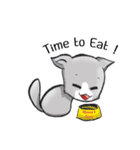 What The Cat(Eng)（個別スタンプ：15）