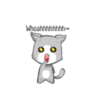 What The Cat(Eng)（個別スタンプ：20）