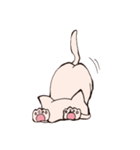イヌみたいなネコ（個別スタンプ：6）