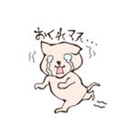 イヌみたいなネコ（個別スタンプ：31）