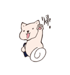 イヌみたいなネコ（個別スタンプ：35）