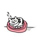 A PA THE CAT（個別スタンプ：10）