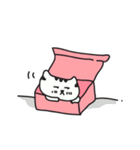 A PA THE CAT（個別スタンプ：20）