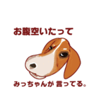 ちゅらとヘッキー（個別スタンプ：2）