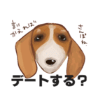 ちゅらとヘッキー（個別スタンプ：4）