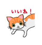 ねこのたいよう 日常編（個別スタンプ：2）