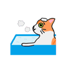 ねこのたいよう 日常編（個別スタンプ：10）