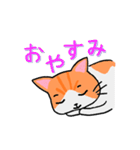 ねこのたいよう 日常編（個別スタンプ：11）
