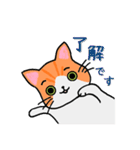 ねこのたいよう 日常編（個別スタンプ：13）