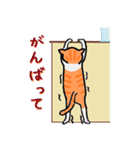 ねこのたいよう 日常編（個別スタンプ：17）