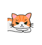 ねこのたいよう 日常編（個別スタンプ：19）