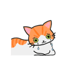 ねこのたいよう 日常編（個別スタンプ：20）