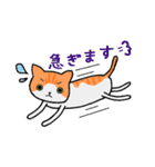ねこのたいよう 日常編（個別スタンプ：24）