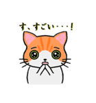 ねこのたいよう 日常編（個別スタンプ：26）