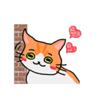 ねこのたいよう 日常編（個別スタンプ：28）