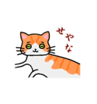 ねこのたいよう 日常編（個別スタンプ：29）