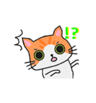 ねこのたいよう 日常編（個別スタンプ：34）